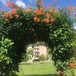 Saraj